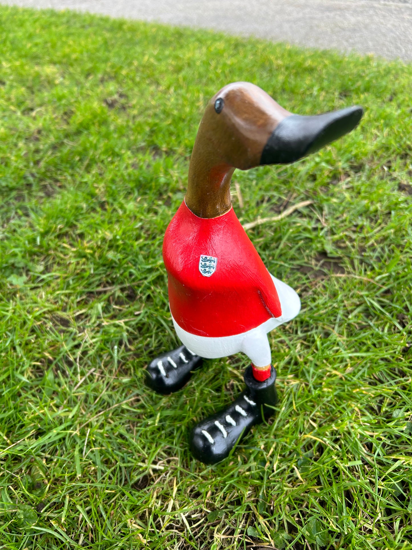 England football Duck