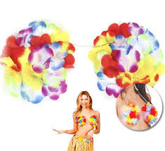 Fancy dress Hula hula bra