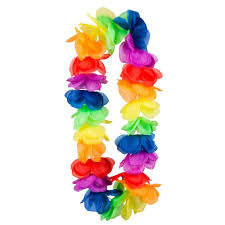 Fancy dress Hawaiian necklace
