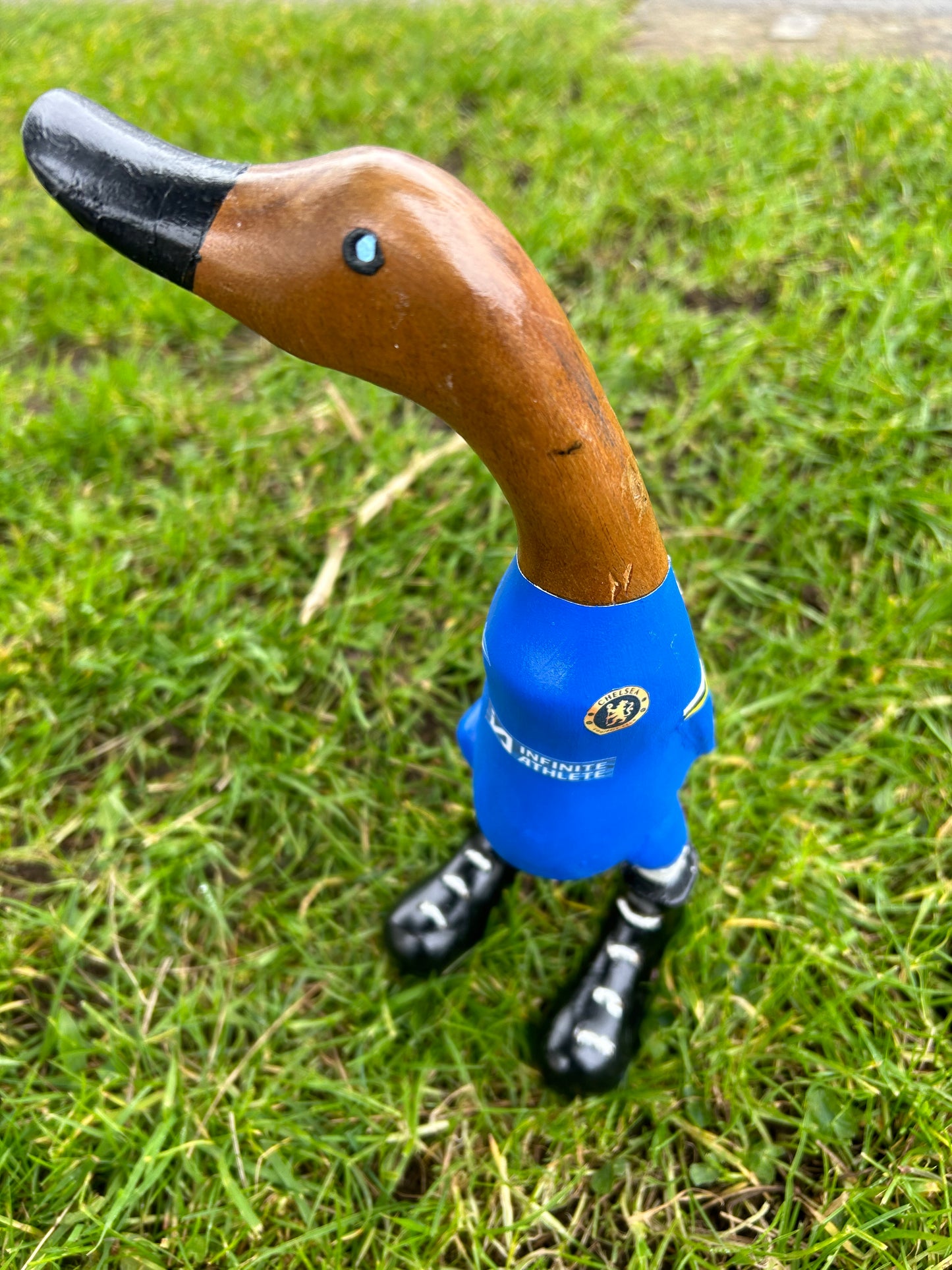 Chelsea football Duck