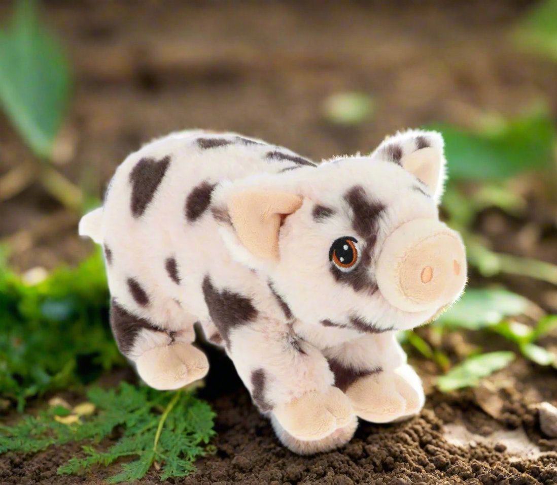 18cm Keel Spotty Pig