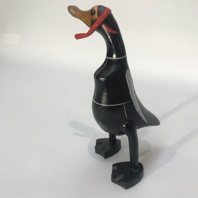 Snorkelling Duck