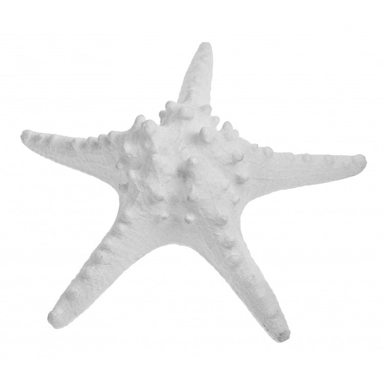 Large Knobbly Starfish