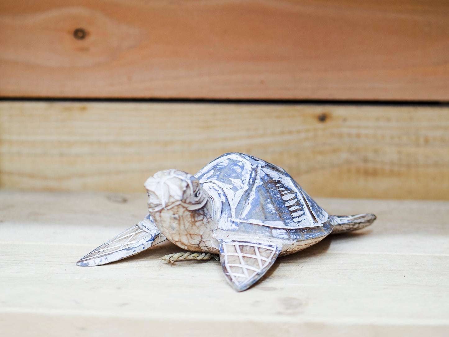 Driftwood Beach Turtle Blue medium