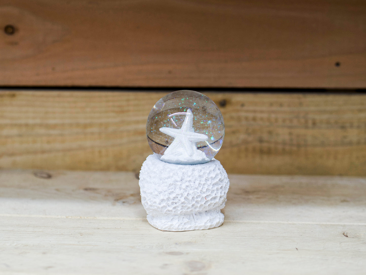 Star Fish Snow Globe