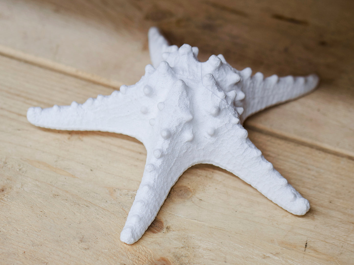 Resin knobbly Star Fish