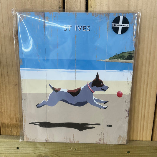 St Ives Dog Beach Sign