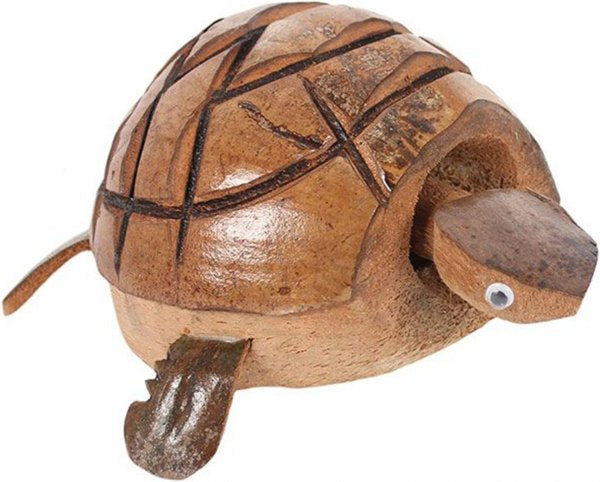 Nodding turtle