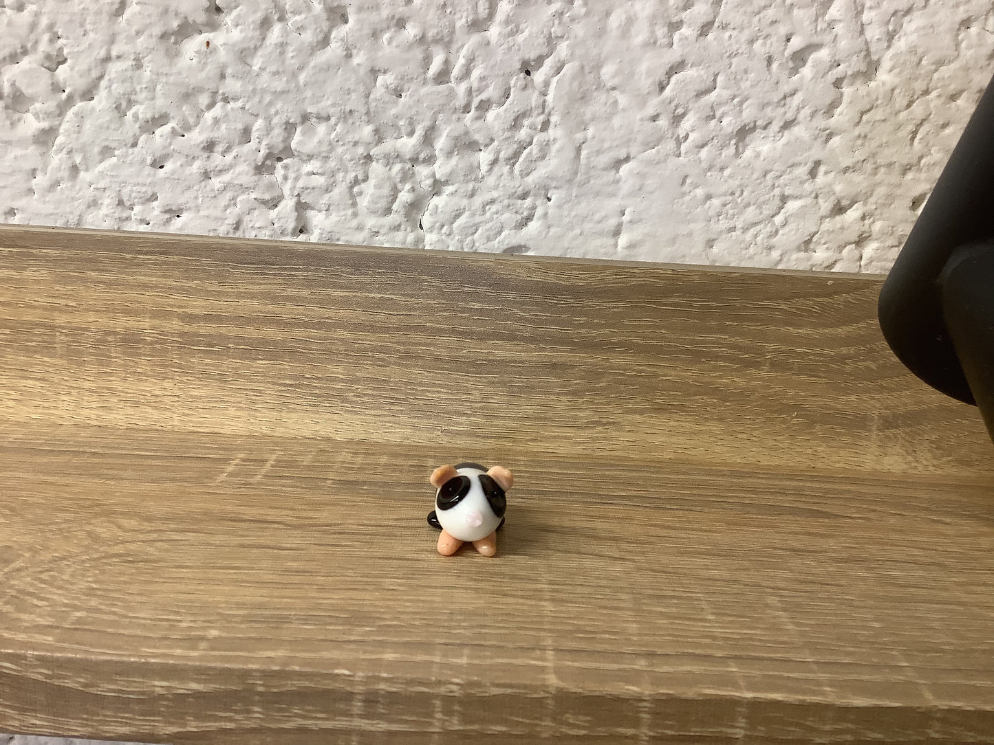 Glass Guinea pig