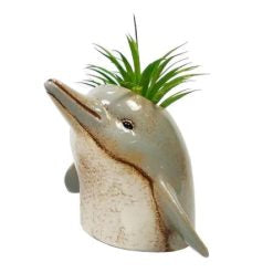 Ceramic  planters