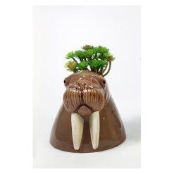 Ceramic  planters
