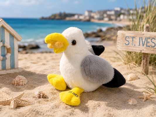 St Ives seagul