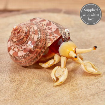 Glass Hermit crab