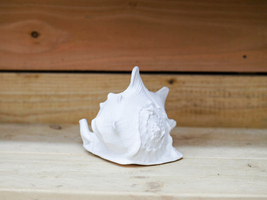 Large resin conch Sea Shell
